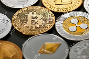 十大安全的虚拟货币交易app推荐_2025年虚拟币交易所排名汇总