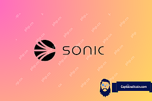 您现在应该向Sonic扔2000美元吗?这是图表所说的