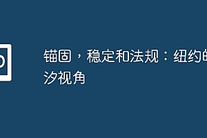 锚固,稳定和法规:纽约的潮汐视角