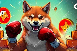 Dogecoin(Doge)表现出新鲜的力量迹象,可能正在为下一个重大突破做准备