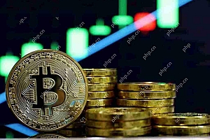 比特币(BTC)价格预测:专家认为这一立场对于达到15万美元以上的创纪录至关重要