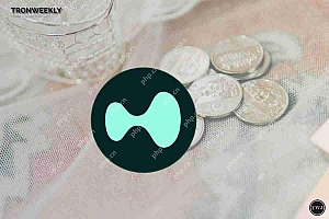超流动性(炒作)显示回调的迹象