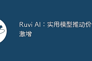 Ruvi AI:实用模型推动价值激增