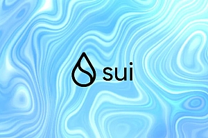 SUI在CEX和DEX上的流动性对比,哪个交易更划算?
