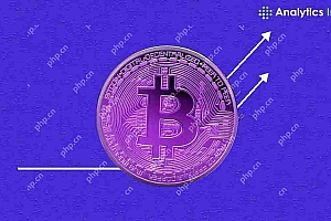 比特币战略财政储备达到553,555 BTC
