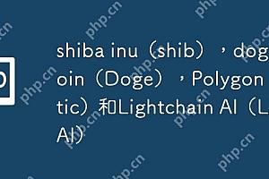 shiba inu(shib),dogecoin(Doge),Polygon(Matic)和Lightchain AI(LCAI)