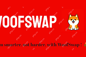 Shibarium Builder Spotlight:Woofswap用VE重塑DEX模型(3,3)