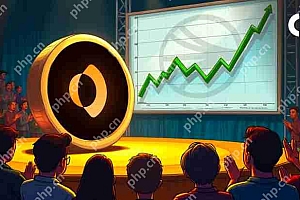 Binance Alpha上市之后,Sonic Chain的影子令牌集会飙升至40美元以上