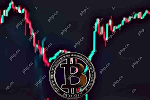 比特币(BTC)资金率差异正在闪烁警告