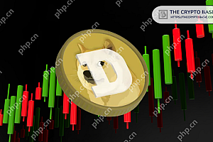 Dogecoin(Doge)的回调可能已经结束,可以确定可以将Doge提升到新的历史最高水平的重复支持水平。