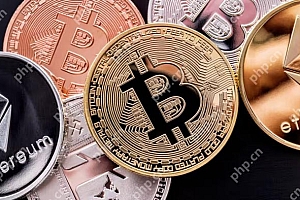 虚拟数字币交易平台哪个好?2025币圈十大交易所排名榜一览