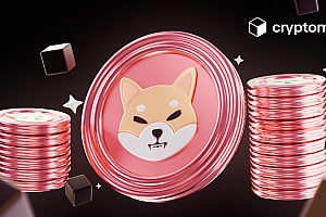 柴犬币(SHIB)销毁机制详解:真的能推动价格上涨吗?