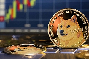 狗狗币(DOGE)交易平台选择指南:哪个最安全便捷?