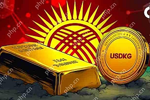 到2025年第三季度,吉尔吉斯斯坦(吉尔吉斯斯坦