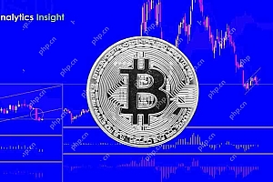 比特币和金故事情节硬币是两个资产的议程