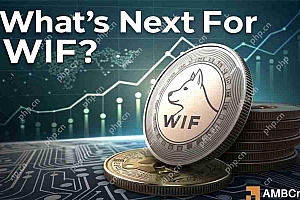 受欢迎的基于Solana的Memecoin Dogwifhat(Wif)似乎在靠近关键支持水平上挣扎