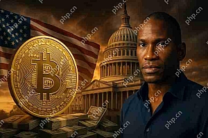 在新闻中描绘了当前经济状况的现实情况(当时美国都全力以赴,阿瑟·海斯(Arthur Hayes)做出了一个预测,可能会影响BTC的未来。