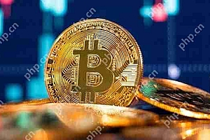 巴基斯坦的比特币价格