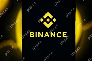 币安Binance交易所最新版 v2.99.4 官方注册下载