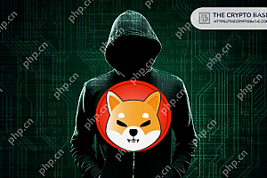SHIB价格预测:Shiba Inu(Shib)的市值达到$ 1T,震惊了投资者