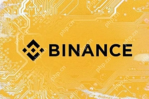 必安安卓版安装教程 手机端Binance APP最新下载链接
