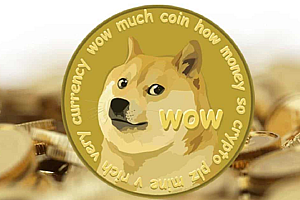 狗狗币交易手续费多少_狗狗币买卖费用明细