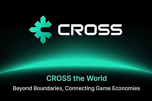 币安首发上线的CROSS币是什么?为什么那么重要?CROSS币空投情况如何?