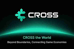 什么是CROSS Protocol(CROSS)?币安即将上线的CROSS项目与代币介绍
