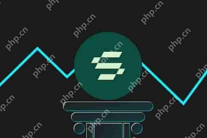 Solayer(LAYER)是什么?Solayer代币经济学和价格预测