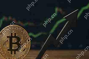 国际清算银行BIS分析:全球经济压力下比特币使用量逆势增长