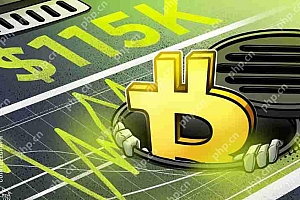 比特币(BTC)供应指标接近90%,分析师:目标价11.5万美元