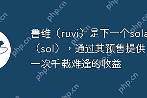 鲁维(ruvi)是下一个solana(sol),通过其预售提供了一次千载难逢的收益
