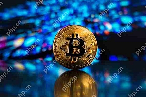 比特币(BTC)价格预测:BTC在2025年超过$ 120,000