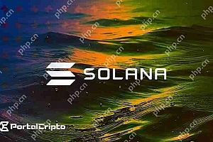 Solana Labs联合创始人提出了一个“元链”来解决区块链碎片