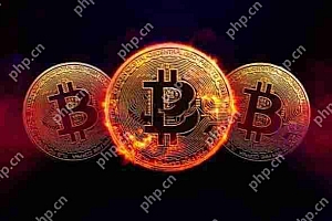 什么是比特币ETF?如何查询比特币ETF流入流出数据