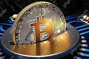Bitwise详解:还需要什么理由足以让你买入BTC