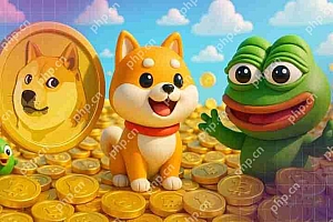 从 $0.001 到 $1?三大不容忽视的迷因币
