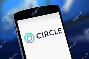 Circle获阿布扎比ADGM初步许可货币服务 USDC正式登陆中东