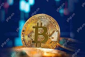 2025年现货交易量排名前六的交易所名单详细介绍
