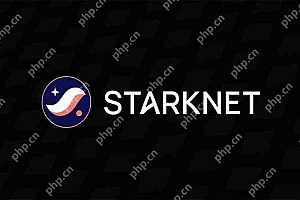 Starknet (STRK) 价格预测2025:未来发展如何?