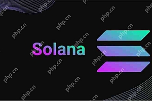 2025年五大最受欢迎的Solana去中心化交易所:Orca、Meteora、CLMM