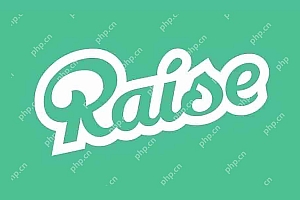 Raise是什么项目?Raise融资、发展历程、盛业模式解读