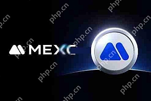 社群疯传MEXC交易所将推出1000倍杠杆交易功能解读 引发市场广泛讨论