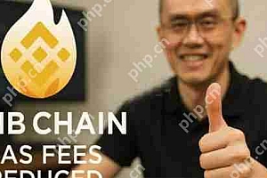 喜讯赵长鹏提议将BNB ChainGas费降低3~10倍!引发社群讨论