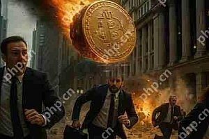 喜讯比特币逼近10万美元大关!全网做空爆仓金额约为2.3亿美元
