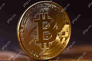 比特币有望创历史新高:深入探讨2025年的看涨前景