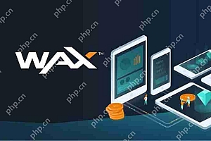 WAXE是什么币种?WAXE币未来前景价值分析