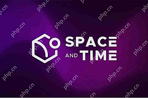 上线币安、微软背书,Space and Time (SXT) 为何备受瞩目?