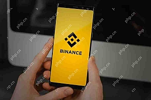 Binance推出最新的BNB Hodlers Airdrop